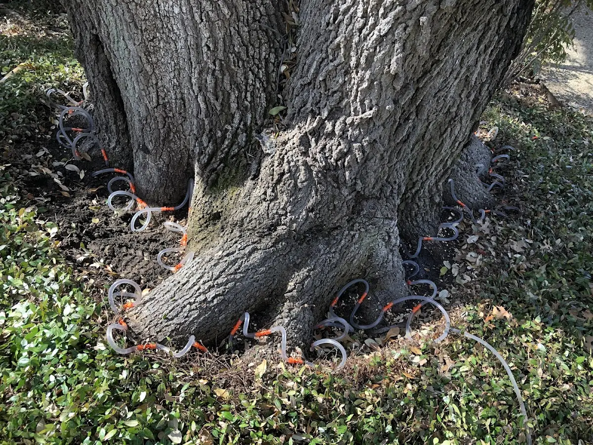 Detailed Shrub and Hedge Trimming job site in Tuttle