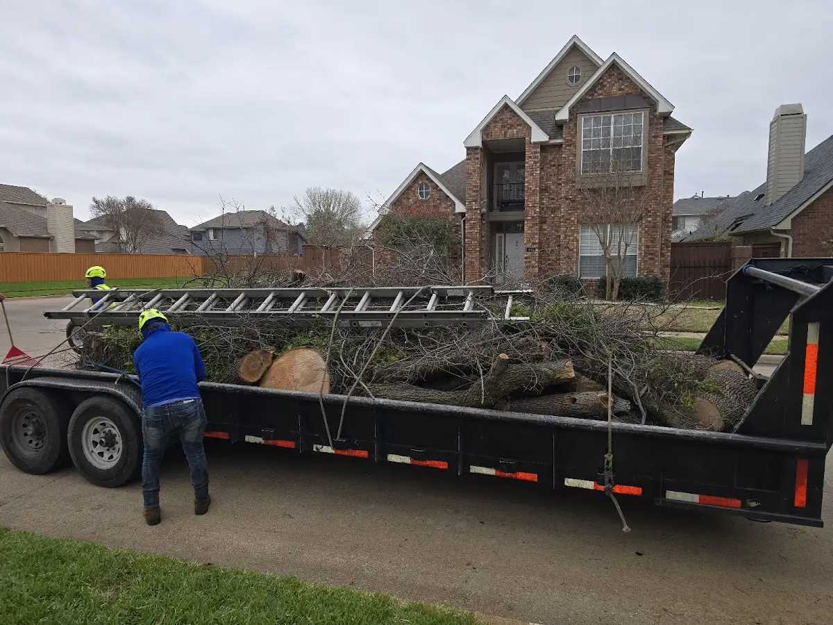 Expert Lot Clearing with proper safety equipment in Tuttle
